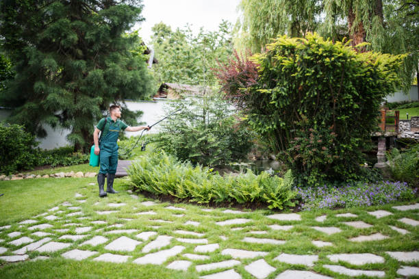 Best Landscape Design and Installation  in Oyster Creek, TX